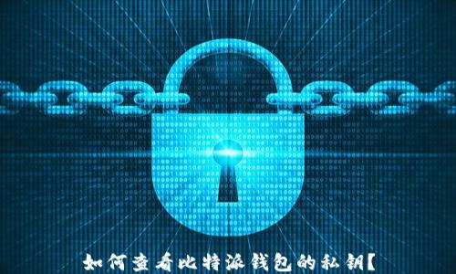 
如何查看比特派钱包的私钥？