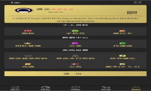 

如何成功找回B特派账户：详尽指南