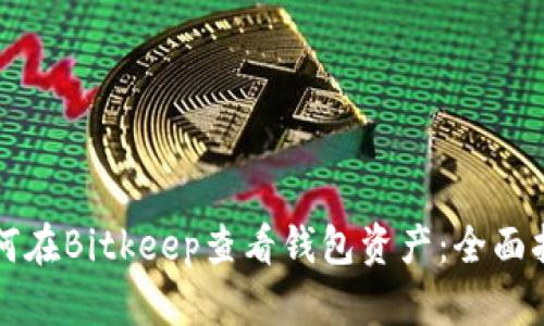 如何在Bitkeep查看钱包资产：全面指南