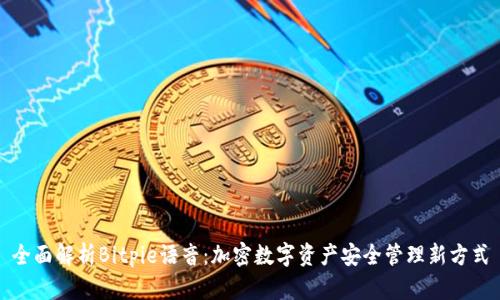 全面解析Bitpie语音：加密数字资产安全管理新方式