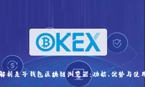 全面解析麦子钱包区块链浏览器：功能、优势与使用指南