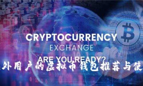 适合海外用户的虚拟币钱包推荐与使用指南