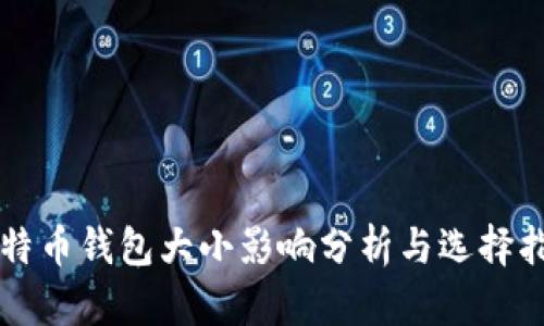 比特币钱包大小影响分析与选择指南