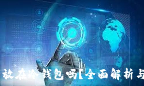  
USDT可以放在冷钱包吗？全面解析与使用指南