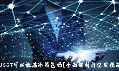  
USDT可以放在冷钱包吗？全面解析与使用指南