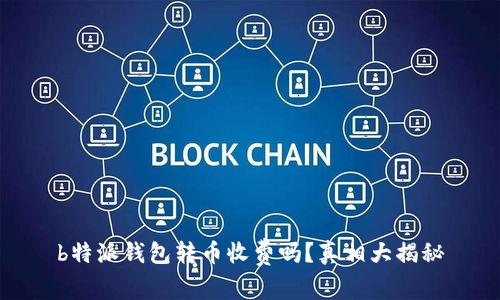 b特派钱包转币收费吗？真相大揭秘