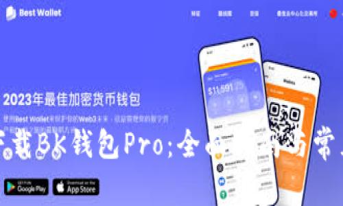 如何安全下载BK钱包Pro：全面指南与常见问题解答