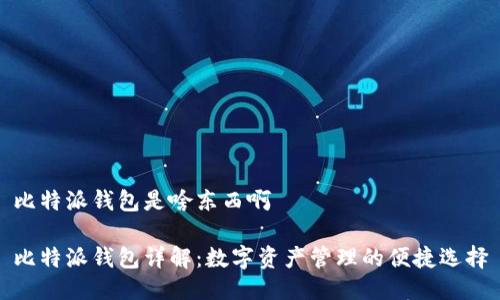 比特派钱包是啥东西啊

比特派钱包详解：数字资产管理的便捷选择