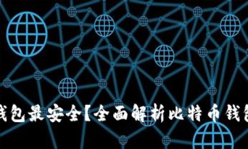 比特币存什么钱包最安全？全面解析比特币钱包种类及安全性