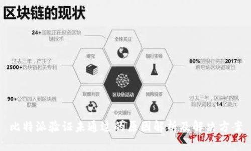 比特派验证未通过的原因解析及解决方案
