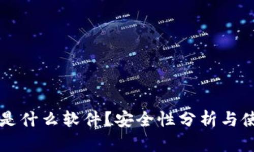 比特派是什么软件？安全性分析与使用指南