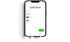 如何在B特派钱包中进行