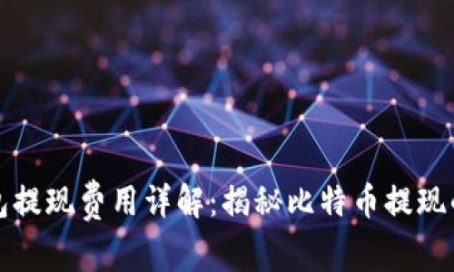 比特币钱包提现费用详解：揭秘比特币提现的真实成本