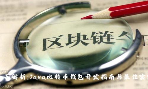 全面解析：Java比特币钱包开发指南与最佳实践