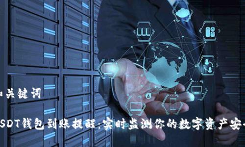 和关键词

USDT钱包到账提醒：实时监测你的数字资产安全