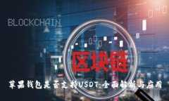 苹果钱包是否支持USDT：全