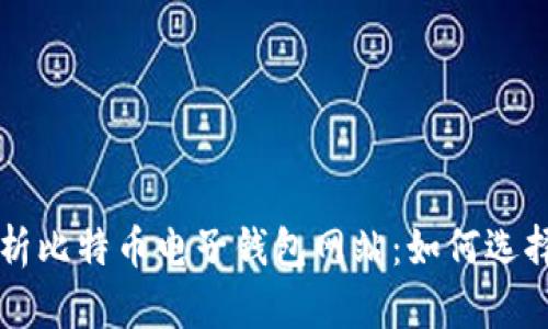 全面解析比特币电子钱包网站：如何选择与使用