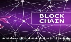如何在Cobo钱包中安全存储USDT：完整指南