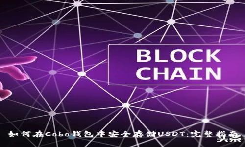 如何在Cobo钱包中安全存储USDT：完整指南