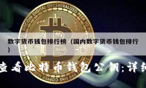 如何查看比特币钱包公钥：详细指南