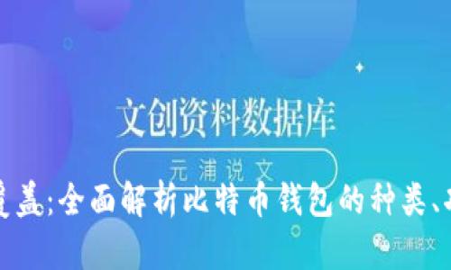 比特币钱包覆盖：全面解析比特币钱包的种类、功能与安全性