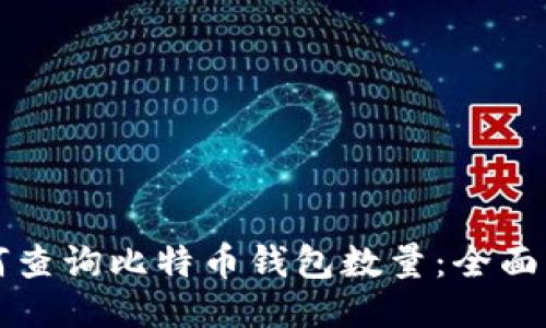 如何查询比特币钱包数量：全面指南