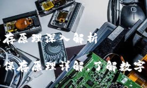 比特币钱包保存原理深入解析

比特币钱包的保存原理详解，了解数字资产安全之道