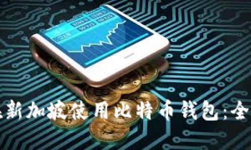 如何在新加坡使用比特币钱包：全面指南