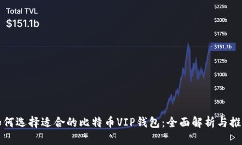 如何选择适合的比特币VIP钱包：全面解析与推荐