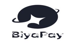 BitP官网打不开的原因及解决方法解析