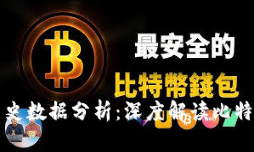 比特币钱包及其历史数据分析：深度解读比特币的数字资产管理