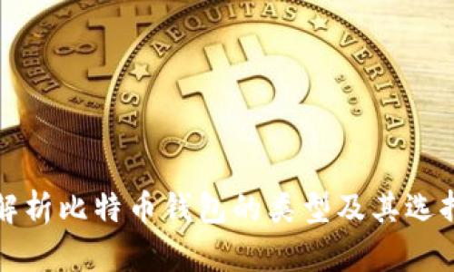 全面解析比特币钱包的类型及其选择指南