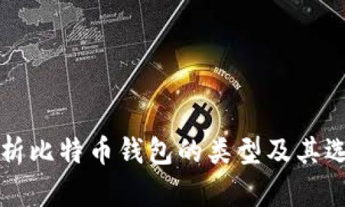 全面解析比特币钱包的类型及其选择指南