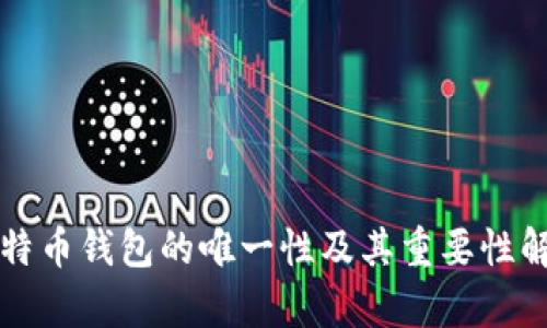 比特币钱包的唯一性及其重要性解析